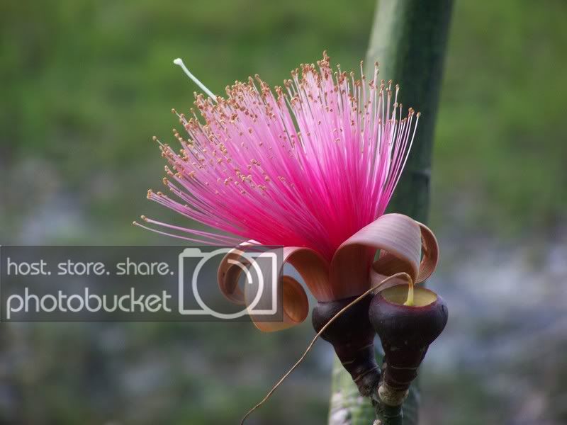 Zoo096.jpg