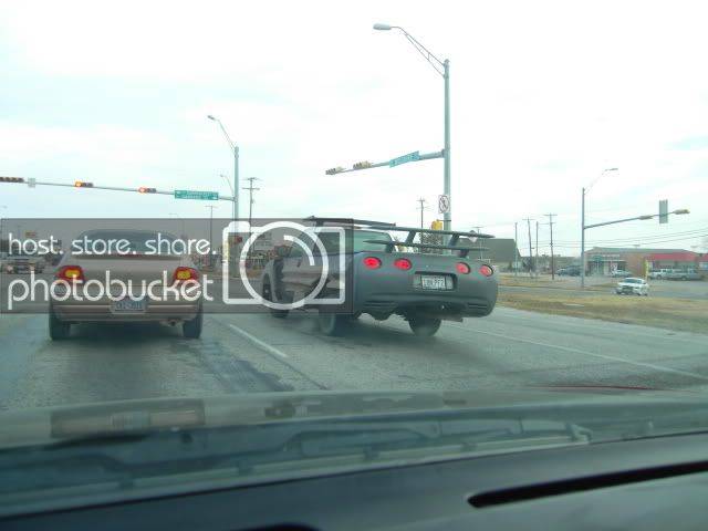 SDC11694.jpg