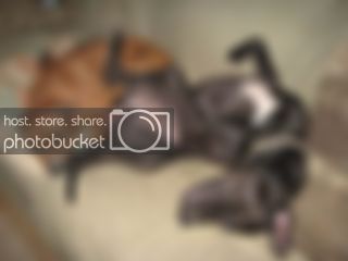 pics091.jpg