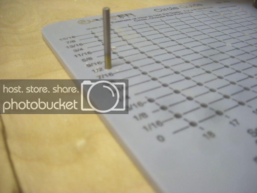 DSCN3380.jpg