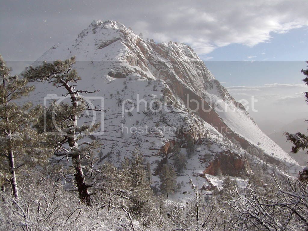 MountainOverlookingSnowcamp.jpg