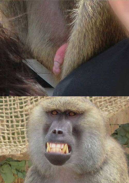 YRYiQ.jpg