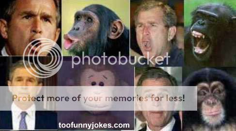 funny-photo046.jpg