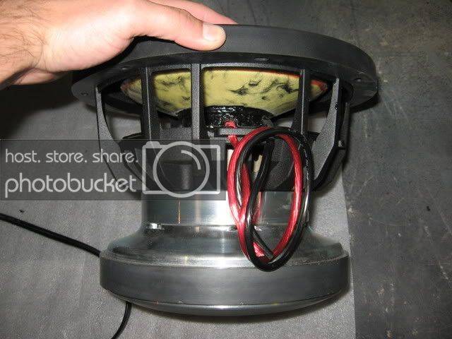 ddplatinum910010.jpg