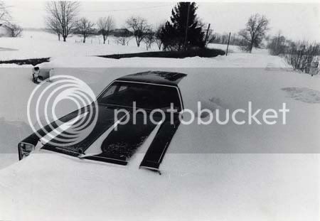 snowdrift78.jpg