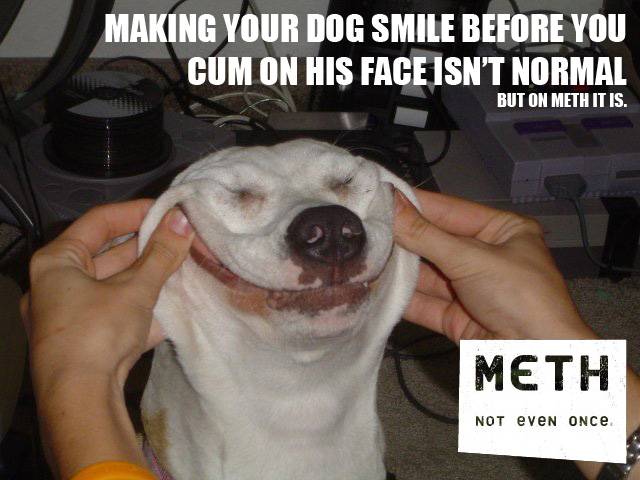 meth_dogsmile.jpg