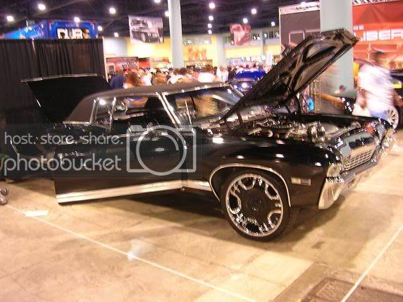 DUBSHOW06023.jpg