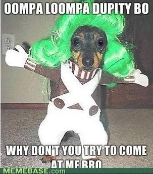 tumblr_lqbwjdGQcx1qccczoo1_400.jpg