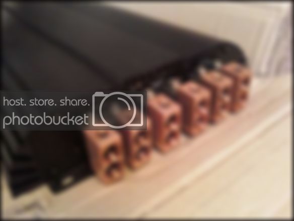 226e3935.jpg