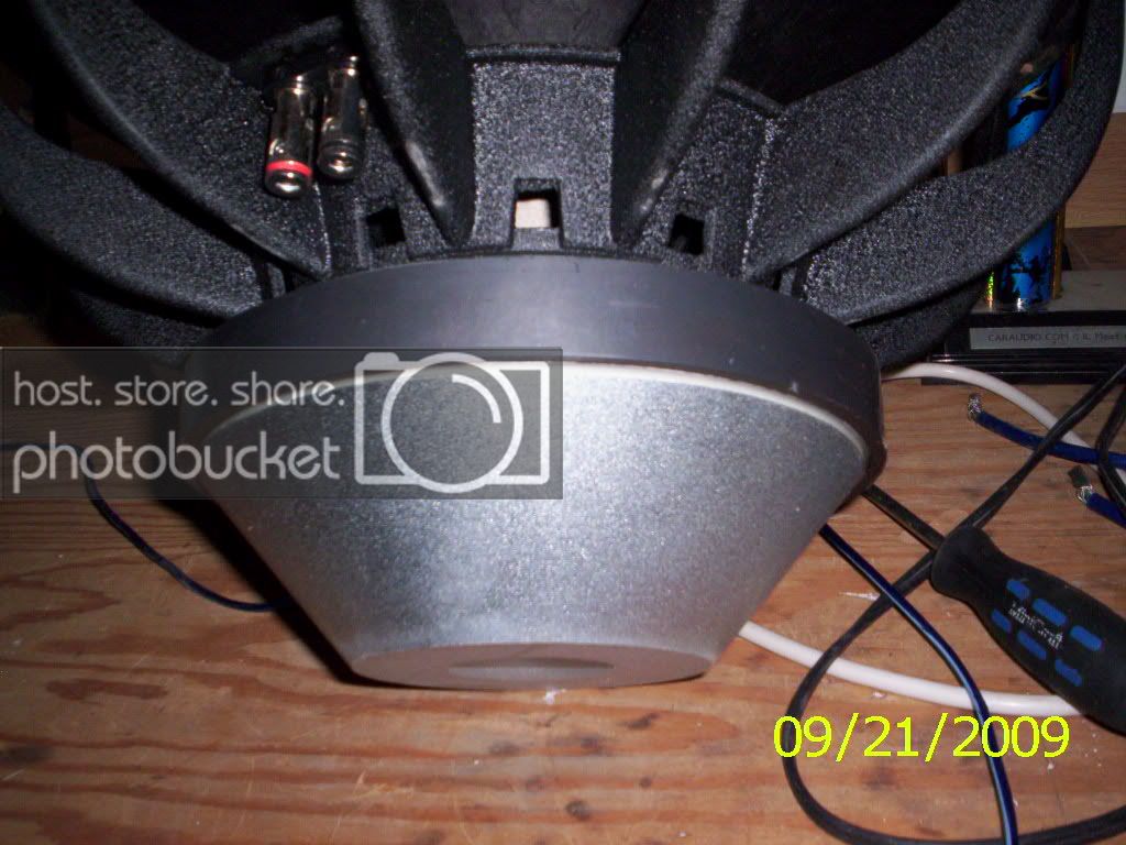 Picture003-13.jpg
