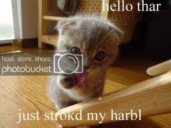 harbl.jpg