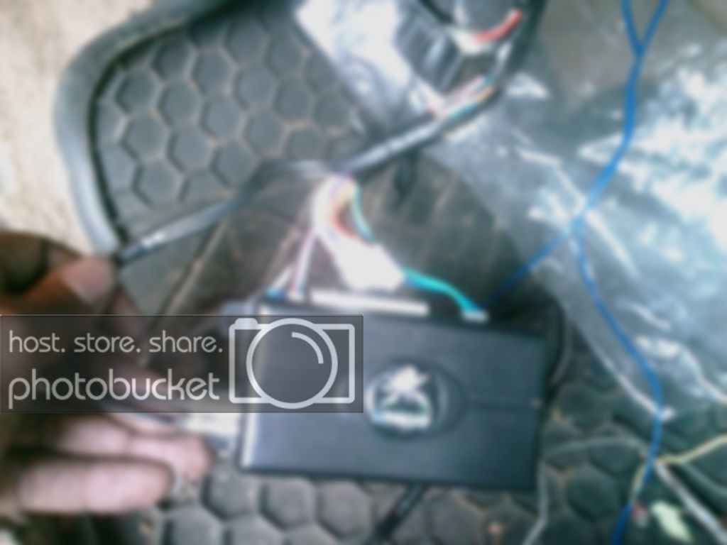 IMAG0048.jpg