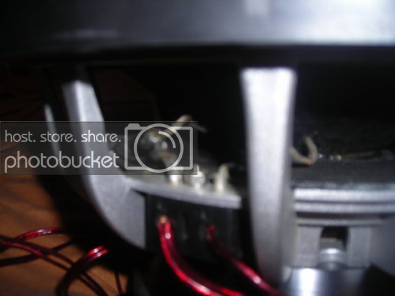 DSCN8681.jpg