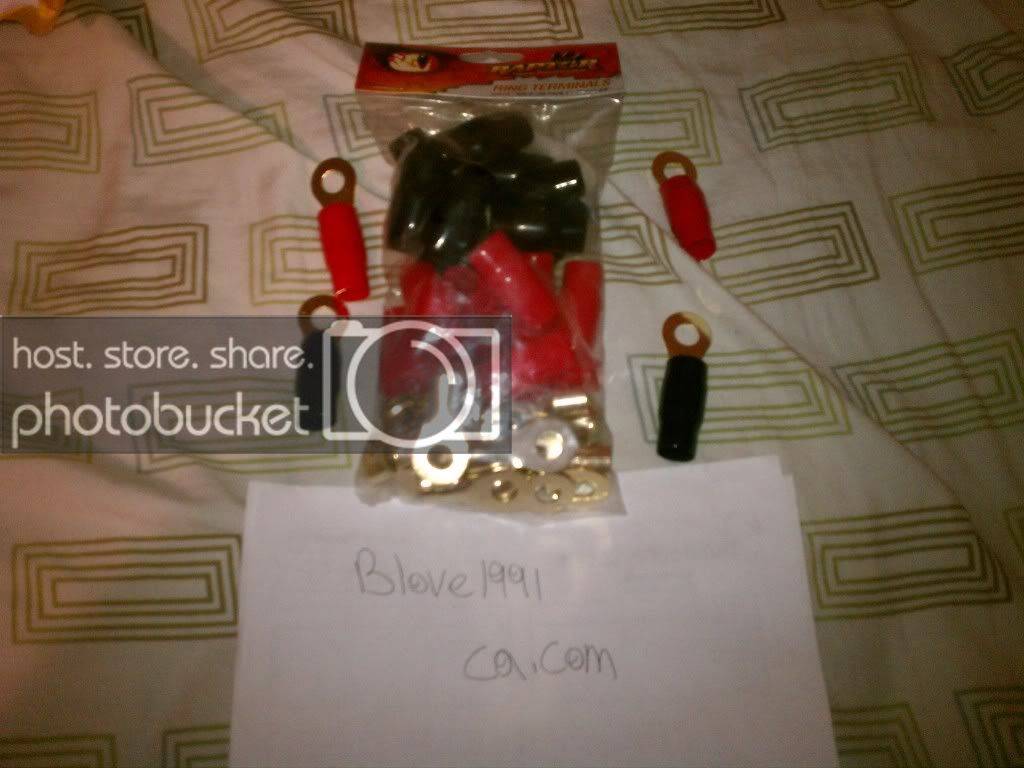 IMAG0437.jpg