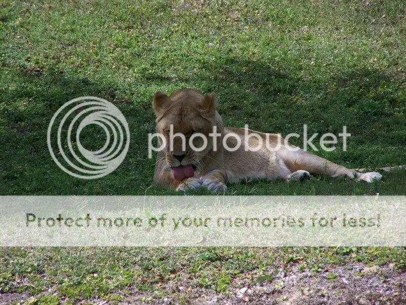 Zoo038.jpg