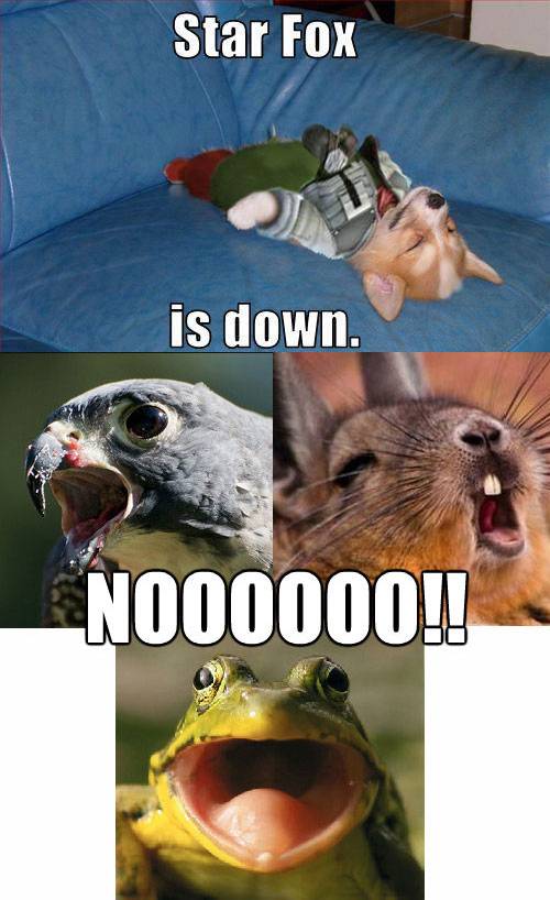 8kCqK.jpg