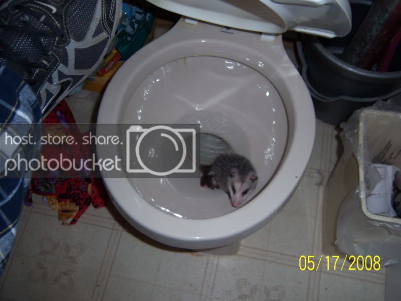 100_0414.jpg