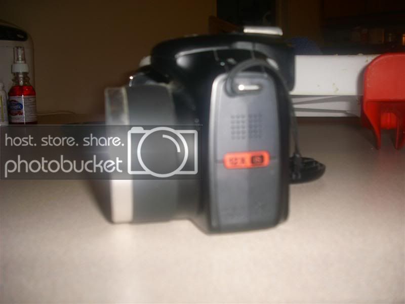 DSCI0227Medium.jpg