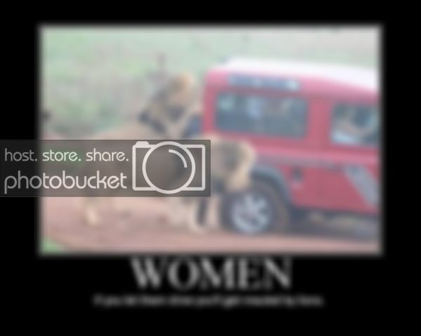 388-women-if-you-let-them-drive-you.jpg