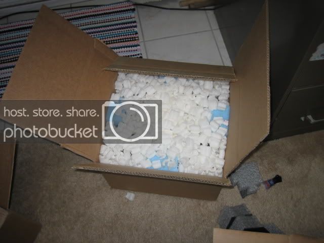 IMG_1161.jpg