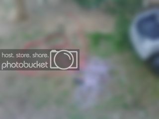 IMG00039.jpg