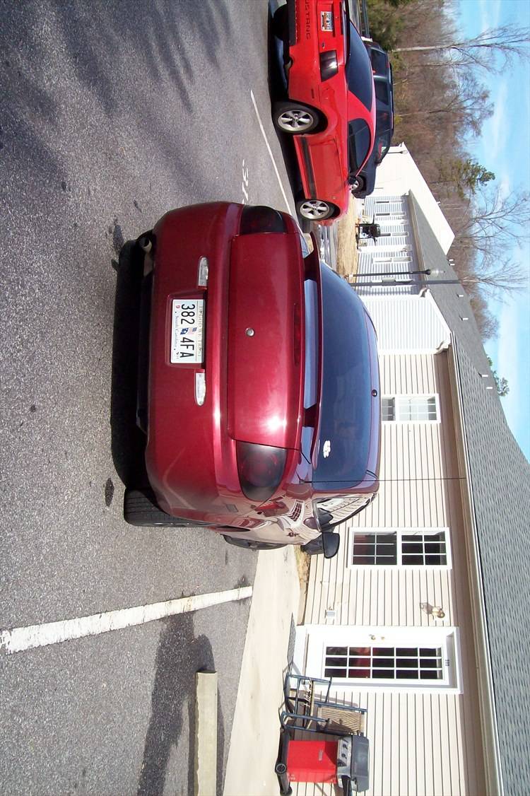 38926914008_large.jpg