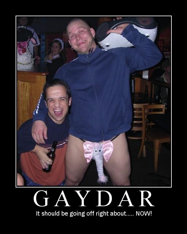 gaydar.jpg