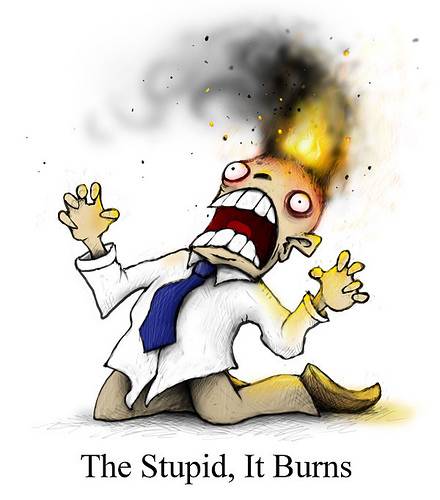 the-stupid-it-burns.jpg