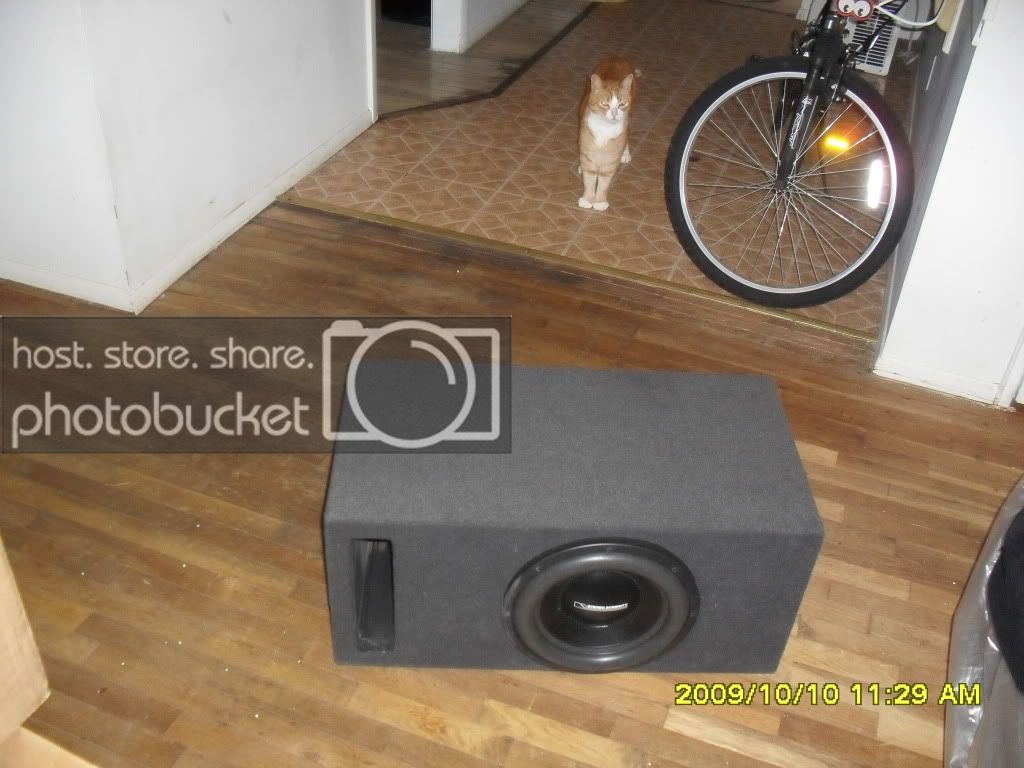 013-1.jpg