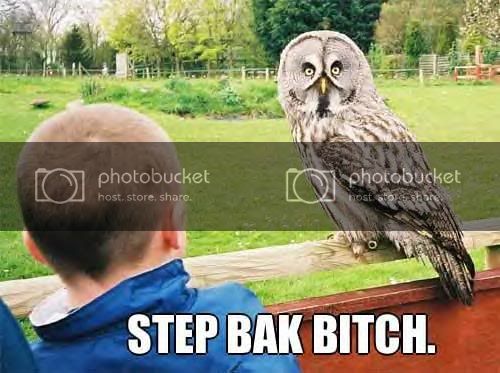 stepback.jpg