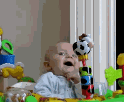 2lFqO.gif