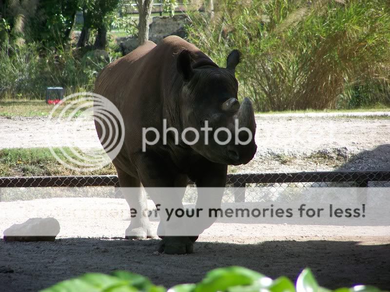 zoo031.jpg