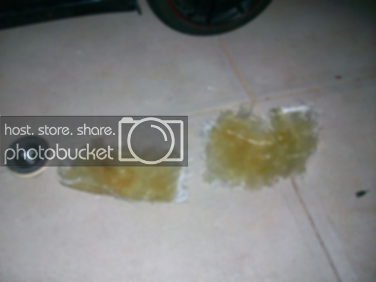 100_2127.jpg