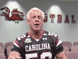 flairusc2.gif
