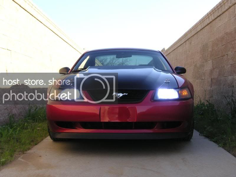 PICT0059.jpg