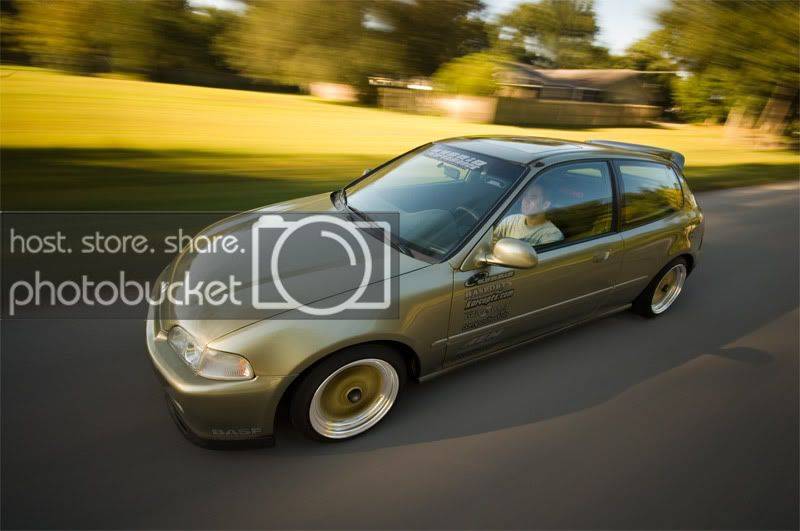 hatch4.jpg