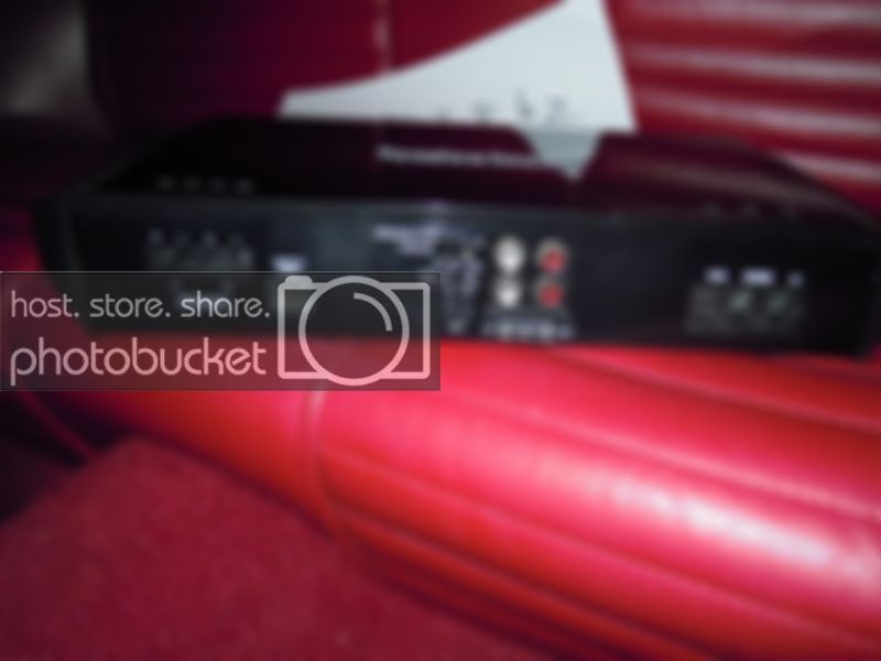 Stang024.jpg