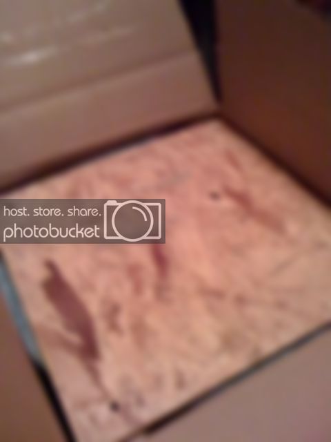 photo-5.jpg