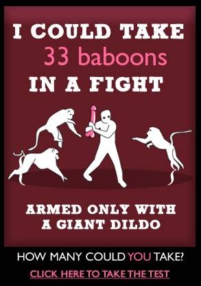 6_33_baboons.jpg