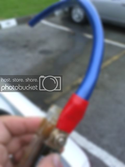 img0800.jpg