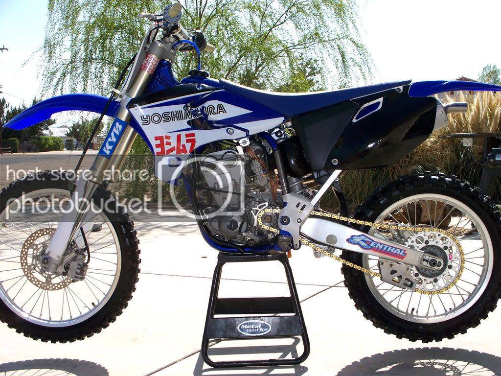 Ty-024.jpg