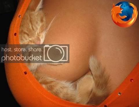 firefoxcat.jpg