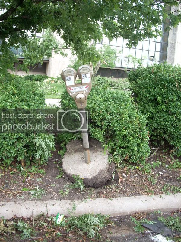 DSCN1037.jpg