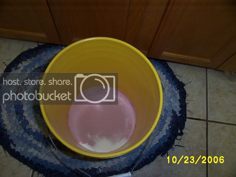 Picture372-1.jpg