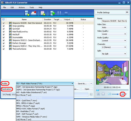 x-flv-converter-standard-1.jpg