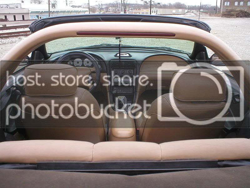 stang7.jpg