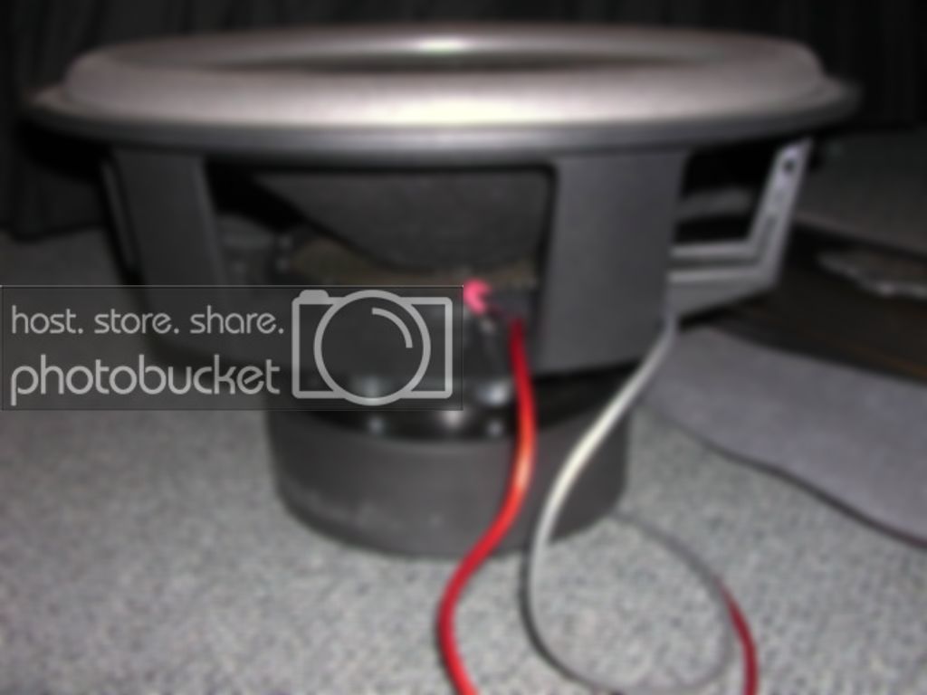 DSCN1628.jpg