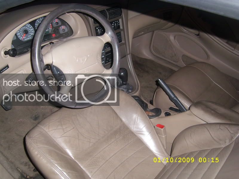 SL270958.jpg