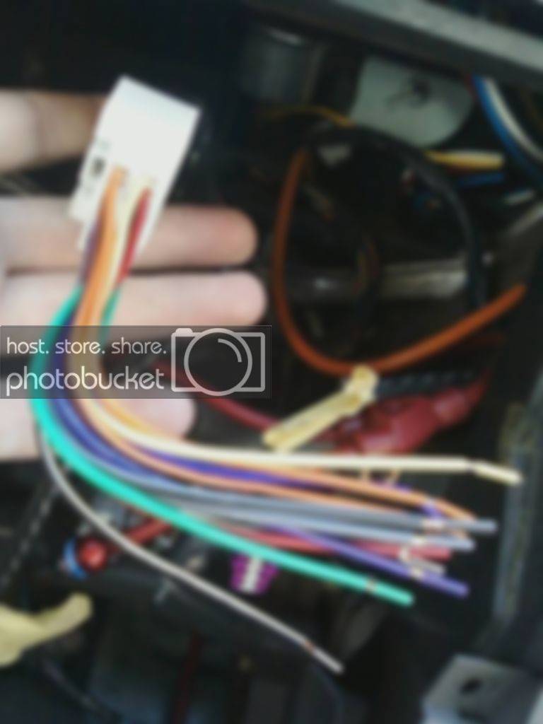 harness2.jpg