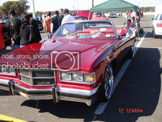 DSC06306.jpg
